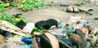 Europe risks losing its competitiveness if it doesn’t unlock the value of waste