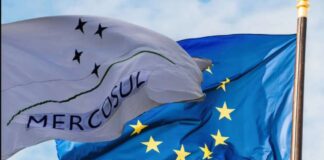 What Are The Vital Next Steps In The EU-Mercosur Trade Deal Saga?