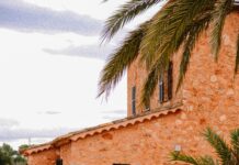 Scarpa Wine: The Rebirth of Heritage Winemaking Houses