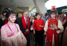 An Encounter with China: Chinese New Year in Paris: Nanjing Intangible Cultural Heritage Shines