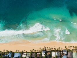 A Crypto Utopia in the Caribbean? Bitcoin Millionaire Offers Nevis Residents $100 a Month