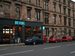 The BrewDog Autopsy: Why 220,000 Investors Lost Everything in a £220M Wipeout