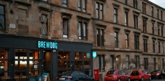 The BrewDog Autopsy: Why 220,000 Investors Lost Everything in a £220M Wipeout