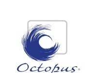 Heritage Spanish brand Osborne taps Singapore distributor Octopus to drive Asia-Pacific Growth