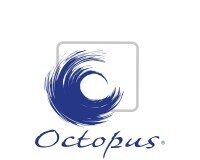 Heritage Spanish brand Osborne taps Singapore distributor Octopus to drive Asia-Pacific Growth