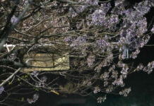 Full-Process, All-Element Test Run Conducted for 2026 Beijing E-Town Humanoid Robot Half-Marathon