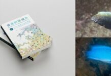 Fantastic Reef Fishes and Where to Find Them: A New Field Guide Celebrates and Documents Hong Kong’s Reef Fish Diversity with 422 Species