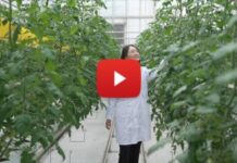 Tracking the unseen: How Chinese agricultural experts tackle invisible pollution in Yangtze River protection