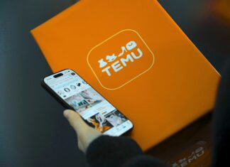 Temu Appeared From Nowhere in 2022. It Has Already Broken Retail. Here Is Who Is Behind It.