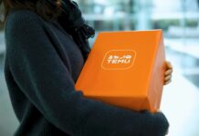 How Temu Quietly Rescued Hundreds of European Factories