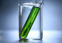 Hown The Iran Oil Shock Triggered a $7 Billion Biofuels Bet