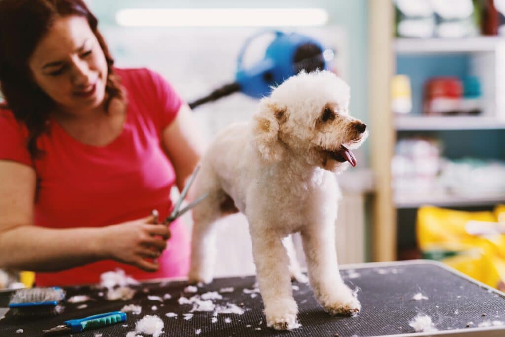 WEEKEND READ: Why The Billion-Pound Pet Economy Isn’t About Animals Anymore — It’s About Loneliness