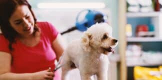 WEEKEND READ: Why The Billion-Pound Pet Economy Isn’t About Animals Anymore — It’s About Loneliness