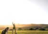 WEEKEND READ: Why Saudi Arabia Just Walked Away From a $6 Billion Golf Bet