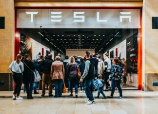 WEEKEND READ: Musk’s Circular Empire: How the Companies Fund Each Other