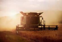 Europe’s Farmers Are Running Out of Time to Adapt to Extreme Heat