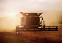 Europe’s Farmers Are Running Out of Time to Adapt to Extreme Heat