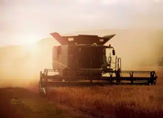 Europe’s Farmers Are Running Out of Time to Adapt to Extreme Heat
