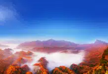 24th Sichuan Guangwu Mountain International Red Leaf Festival to Showcase Asia’s Spectacular Autumn Colors
