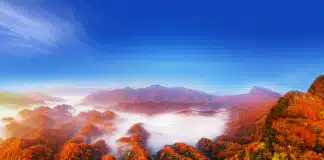 24th Sichuan Guangwu Mountain International Red Leaf Festival to Showcase Asia’s Spectacular Autumn Colors