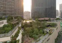 Suan Dusit Arun marks a year of positive urban impact, recording more than 951,000 visitors while helping to create a cooler, greener Bangkok