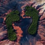 WEEKEND READ: The $27 Billion Business of Measuring Your Carbon Footprint —and Why the Numbers May Be Wrong