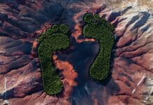 WEEKEND READ: The $27 Billion Business of Measuring Your Carbon Footprint —and Why the Numbers May Be Wrong