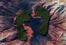 WEEKEND READ: The $27 Billion Business of Measuring Your Carbon Footprint —and Why the Numbers May Be Wrong