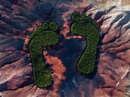 WEEKEND READ: The $27 Billion Business of Measuring Your Carbon Footprint