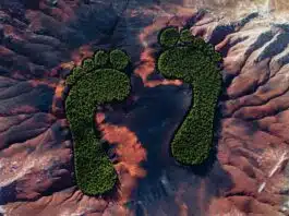 WEEKEND READ: The $27 Billion Business of Measuring Your Carbon Footprint