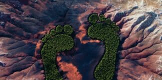 WEEKEND READ: The $27 Billion Business of Measuring Your Carbon Footprint