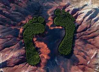 WEEKEND READ: The $27 Billion Business of Measuring Your Carbon Footprint —and Why the Numbers May Be Wrong