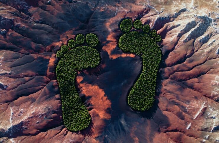 WEEKEND READ: The $27 Billion Business of Measuring Your Carbon Footprint —and Why the Numbers May Be Wrong