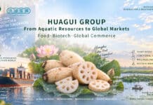 Huagui Group: A Global Player Across Two RMB100-Billion Aquatic Markets, as Honghu Lotus Root Ranks No. 1 in Antioxidant Content