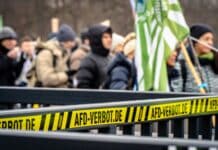 AfD Wins 44% in Germany: Is This the Far Right — or a Revolt Against the Way Germany Is Being Run?